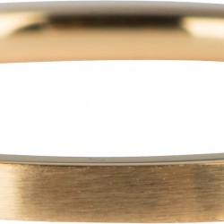 Chamrins ring gold steel matt R817 Maat 16 - 4003900
